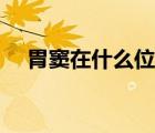 胃竇在什么位置圖片（胃竇在什么位置）