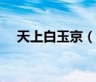 天上白玉京（說一說天上白玉京的簡介）