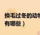換毛過(guò)冬的動(dòng)物有哪些知識(shí)（換毛過(guò)冬的動(dòng)物有哪些）