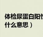 體檢尿蛋白陽性是什么意思（尿蛋白弱陽性是什么意思）