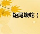 短尾蝮蛇（說一說短尾蝮蛇的簡介）