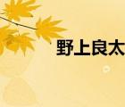 野上良太郎結局（野上良太郎）