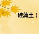 硅藻土（說(shuō)一說(shuō)硅藻土的簡(jiǎn)介）