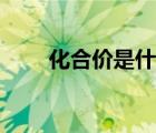 化合價(jià)是什么東西（化合價(jià)是什么）