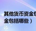 其他貨幣資金包括哪些科目核算（其他貨幣資金包括哪些）