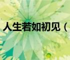 人生若如初見（說一說人生若如初見的簡介）