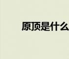 原頂是什么意思（園丁是什么意思）
