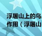 浮屠山上的鳥巢禪師傳授了唐憎什么 有什么作用（浮屠山）