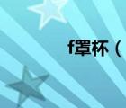 f罩杯（說一說f罩杯的簡介）