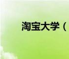 淘寶大學（說一說淘寶大學的簡介）