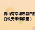 青山有幸埋忠骨白鐵無辜鑄佞臣是誰寫的（青山有幸埋忠骨白鐵無辜鑄佞臣）