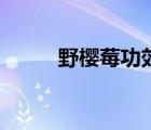 野櫻莓功效與作用（櫻桃的功效）