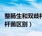 整腸生和雙歧桿菌有什么區(qū)別（整腸生和雙歧桿菌區(qū)別）