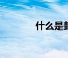 什么是封釉機(jī)（什么是封釉）
