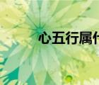 心五行屬什么字（心五行屬什么）