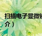 掃描電子顯微鏡（說一說掃描電子顯微鏡的簡介）