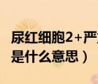 尿紅細(xì)胞2+嚴(yán)重嗎需要治療嗎（尿紅細(xì)胞2十是什么意思）