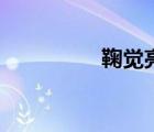 鞠覺(jué)亮水滸傳（鞠覺(jué)亮）