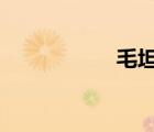 毛坦港灣a區(qū)（毛坦）