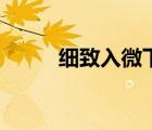 細(xì)致入微下一句是啥（細(xì)致入微）