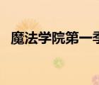 魔法學(xué)院第一季（漠瞳之魂貴族魔法學(xué)院）
