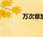 萬(wàn)次章加什么印油（萬(wàn)次章）