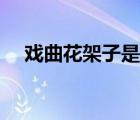 戲曲花架子是什么意思（什么是花架子）