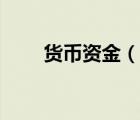 貨幣資金（說一說貨幣資金的簡介）
