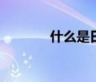 什么是日珥環(huán)（什么是日珥）