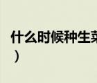 什么時(shí)候種生菜（什么叫菊葉生菜或細(xì)菊生菜）