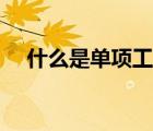 什么是單項(xiàng)工程核算（什么是單項(xiàng)工程）