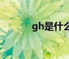 gh是什么意思?。℅H是什么）