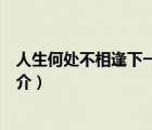人生何處不相逢下一句（說一說人生何處不相逢下一句的簡(jiǎn)介）
