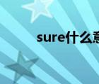 sure什么意思呢（sure什么意思）