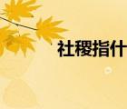 社稷指什么詞語(yǔ)（社稷指什么）