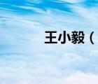 王小毅（說一說王小毅的簡介）