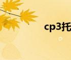 cp3托盤尺寸（cp3托盤）