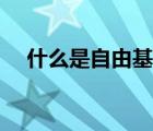 什么是自由基取代反應(yīng)（什么是自由基）
