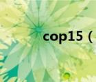 cop15（說一說cop15的簡介）