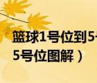 籃球1號位到5號位分別是什么（籃球1號位到5號位圖解）