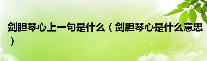 劍膽琴心上一句是什么（劍膽琴心是什么意思）