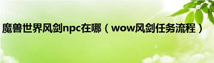 魔獸世界風劍npc在哪（wow風劍任務流程）