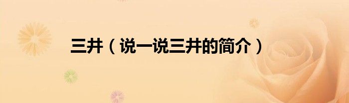 三井（說一說三井的簡介）