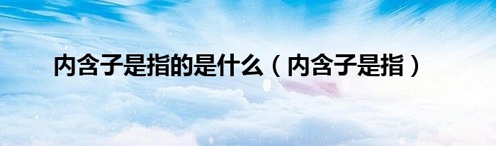 內(nèi)含子是指的是什么（內(nèi)含子是指）