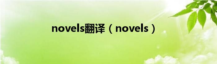 novels翻譯（novels）