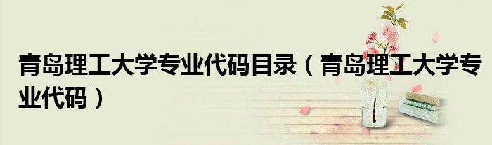 青島理工大學(xué)專業(yè)代碼目錄（青島理工大學(xué)專業(yè)代碼）
