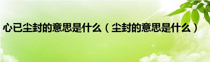 心已塵封的意思是什么（塵封的意思是什么）