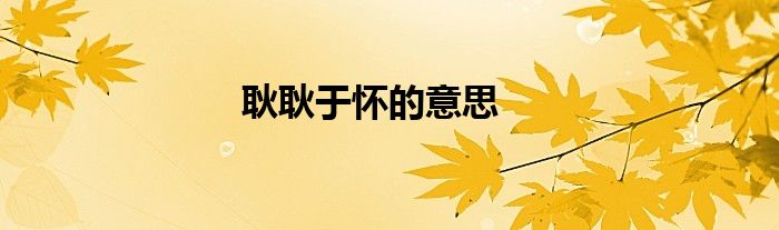 耿耿于懷的意思