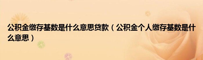 公積金繳存基數(shù)是什么意思貸款（公積金個人繳存基數(shù)是什么意思）