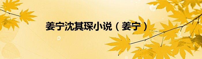 姜寧沈其琛小說（姜寧）